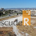 Demolición y Terracerías en naves industriales con maquinaria