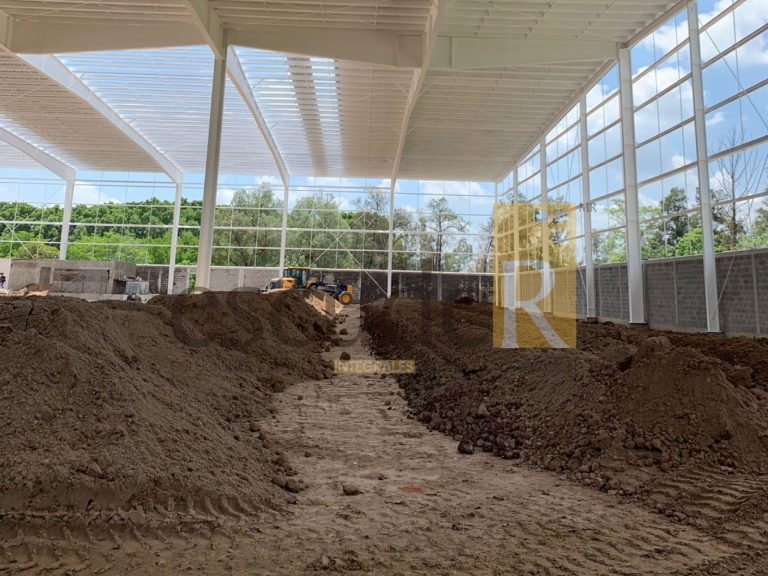 cedis-bimbo-salamanca_41