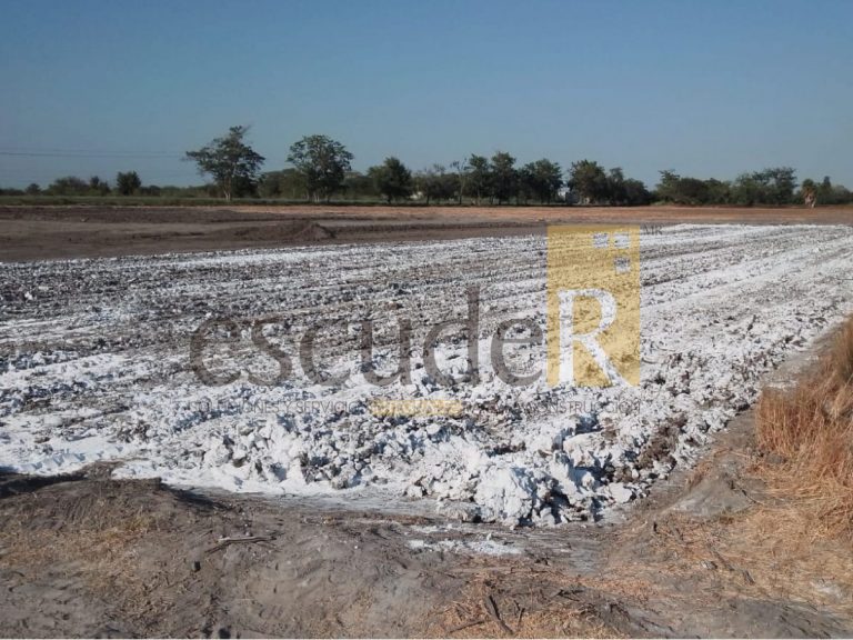 escuder-construccion-terracerias-industriales-en-centro-de-distribucion-en-ciudad-mante_20